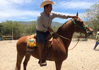 Horse ranch in Sierra Madre