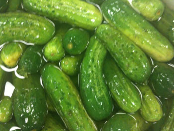 Dill pickles