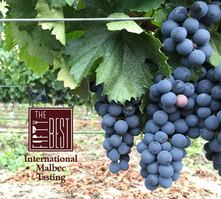 The Fifty Best Malbec Tasting