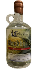 Blackbird's Straight Shine