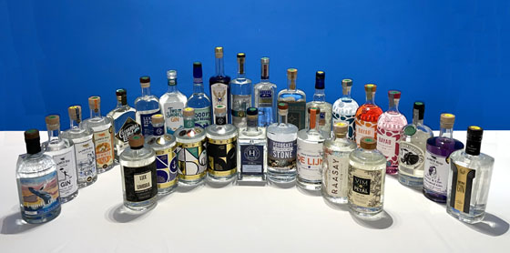The Fifty Best Gin Tasting 2023