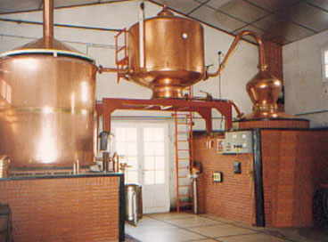 Cognac Distillation