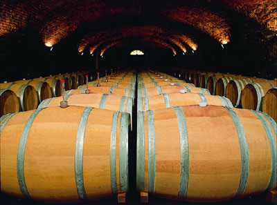 Friuli wine barriques