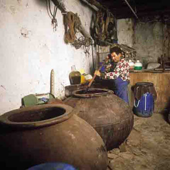 Traditional wine-making in Cyprus