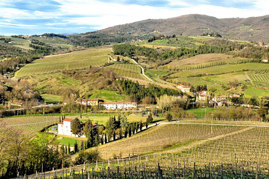 Chianti Region